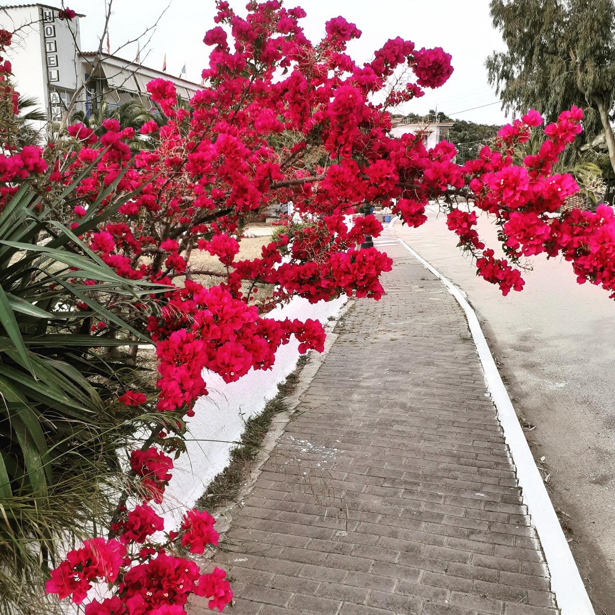 Hotel Avra Nea Epidavros Extérieur photo